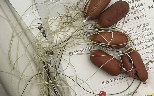 낚싯바늘 끼운 소지지[인스타그램 갈무리]